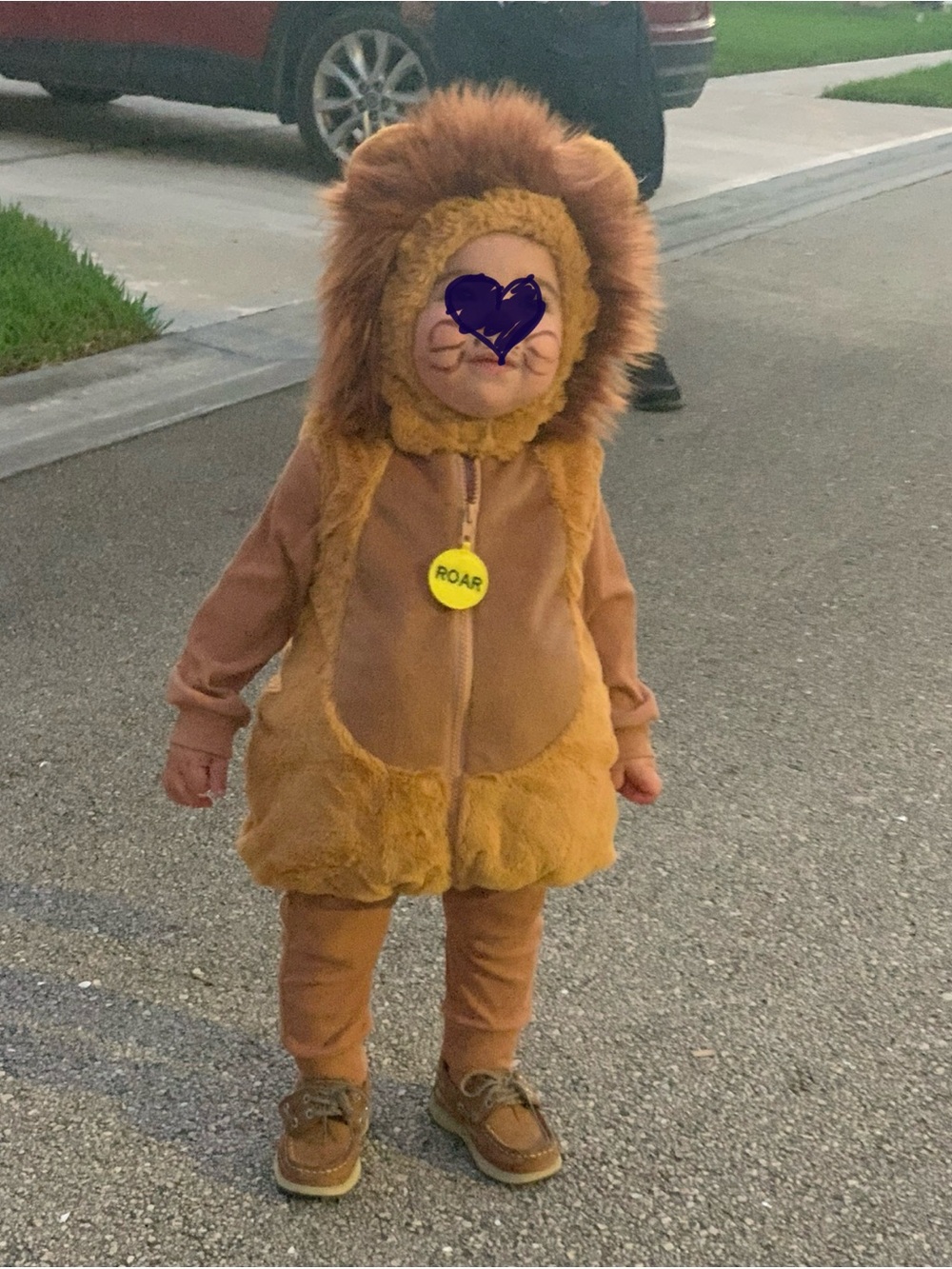 Lion Costume